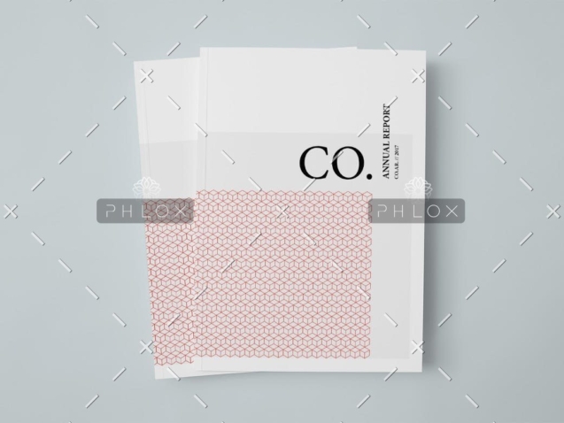 demo-attachment-18-CO.-Annual-Report